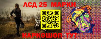 индика Беслан