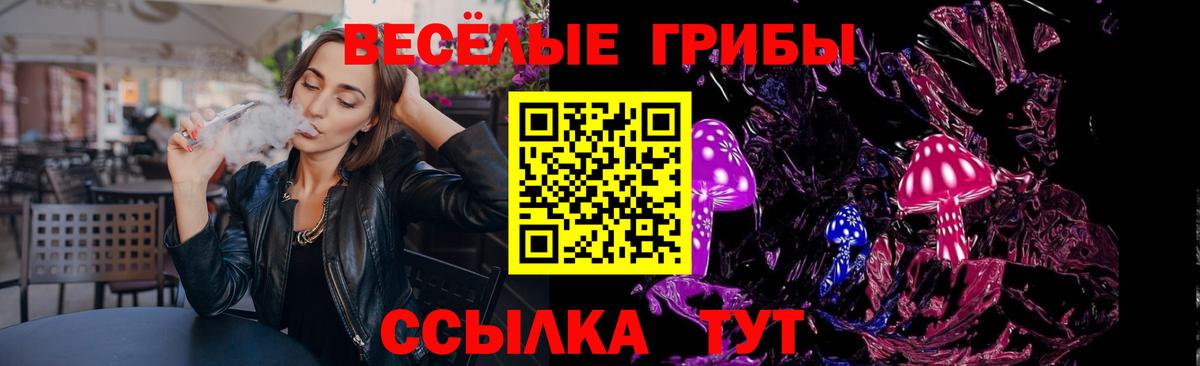 Елец  Галлюциногенные грибы мухоморы  Псилоцибиновые грибы GOLDEN TEACHER  Вход с VPN 